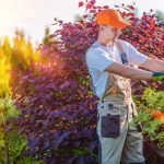 Men Taking Care of Garden